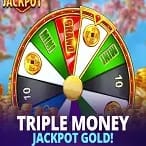 Triple Money Jackpot™ Gold! game icon